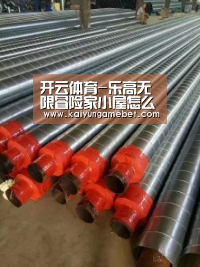 开云体育-乐高无限冒险家小屋怎么做 冒险家在哪(图1) 开云APP