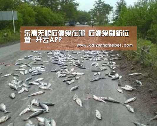 开云官方