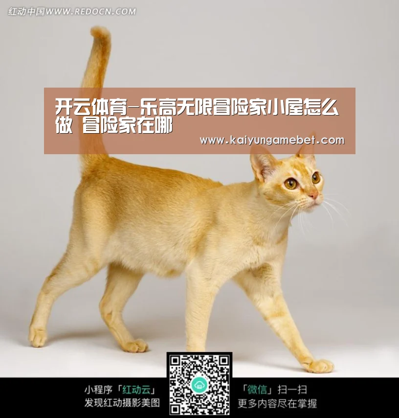 开云体育-乐高无限冒险家小屋怎么做 冒险家在哪(图3) 开云安装