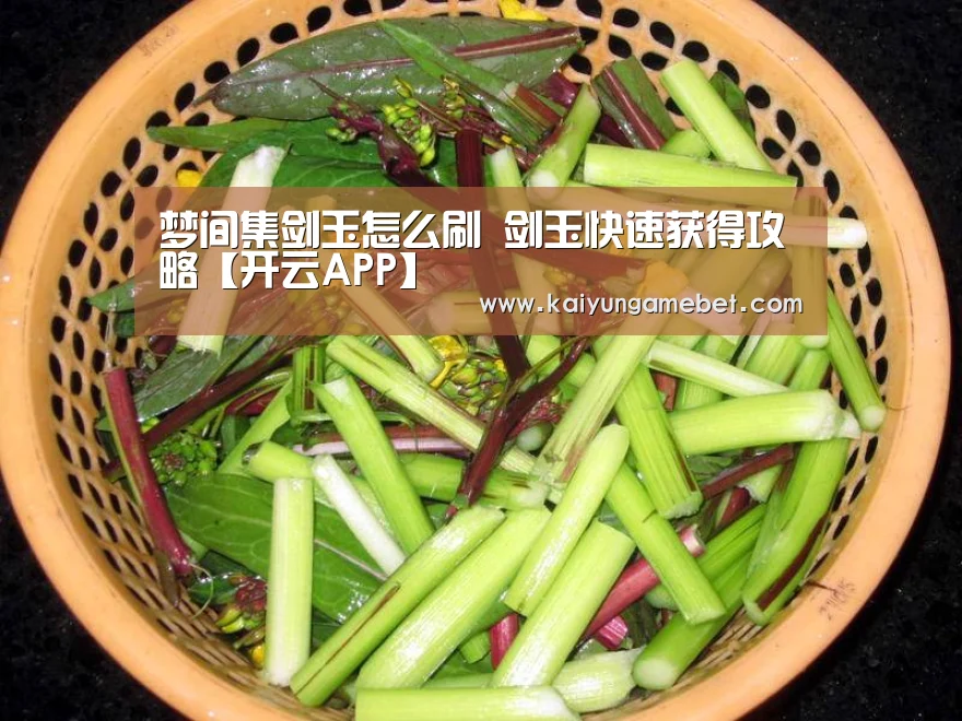 梦间集剑玉怎么刷 剑玉快速获得攻略【开云APP】(图3) 开云体育