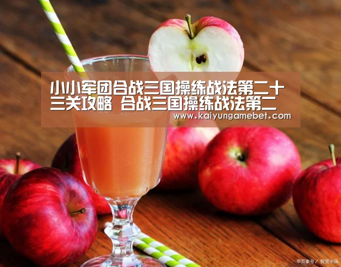 小小军团合战三国操练战法第二十三关攻略 合战三国操练战法第二十三关详解‘开云官方’(图1) 开云APP