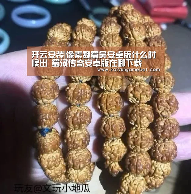 开云安装|像素魏蜀吴安卓版什么时候出 蜀汉传奇安卓版在哪下载(图1) 开云官方